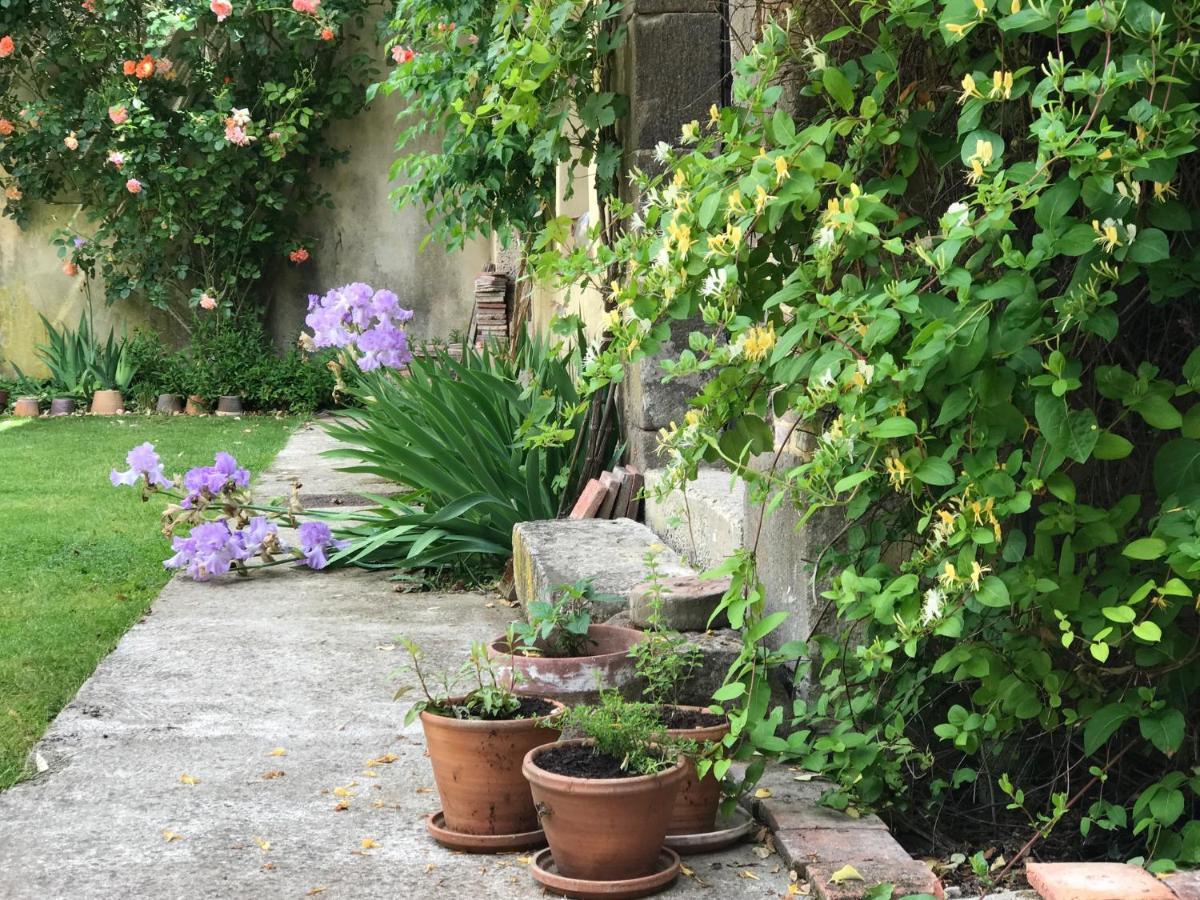 La Maison Jeanne D'Arc Saint-Fargeau  Kültér fotó